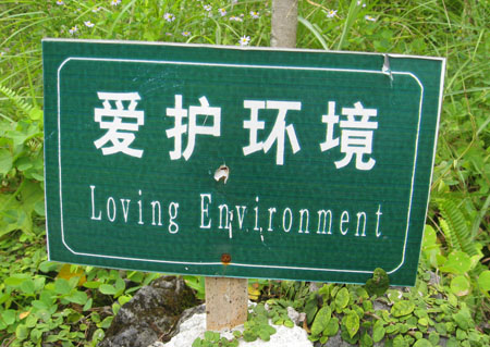 Loving Environment